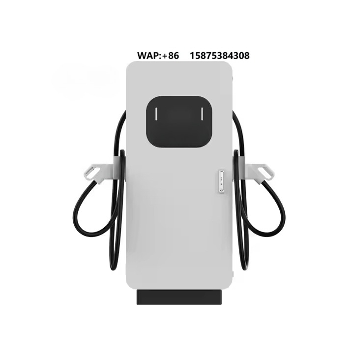 Ev Charging Station 60Kw Dc Fast - Fornitore di Stazioni di Ricarica DC,