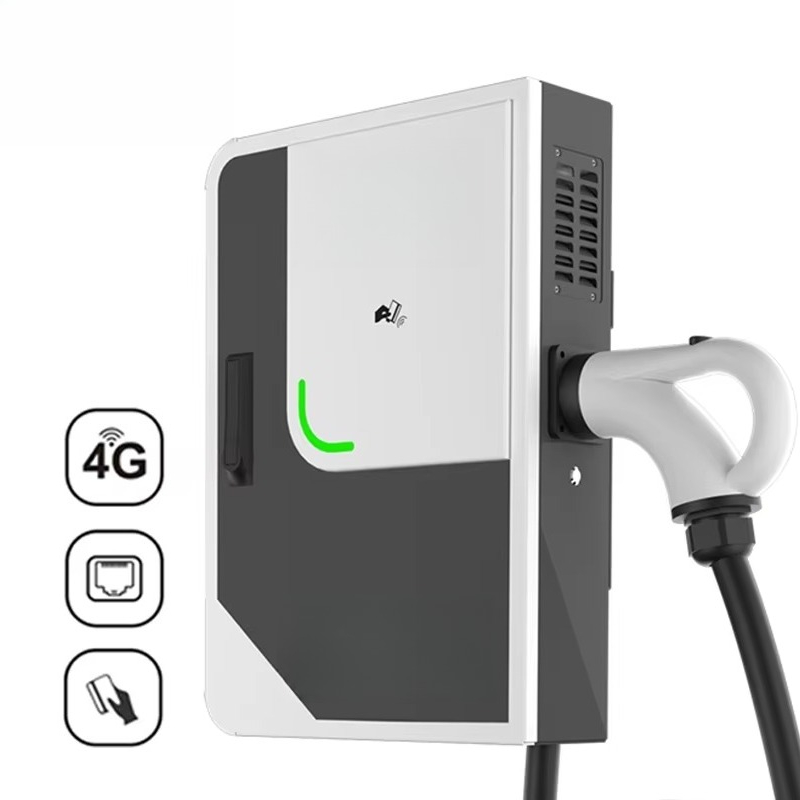 Dc Fast Charger Module 30Kw - Caricatore EV DC Rapido 20KW 30KW