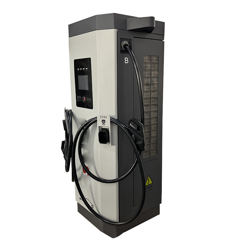 Colonnina di Ricarica DC per V - Ev Charging Station 60Kw Dc Fast recensione e prezzo