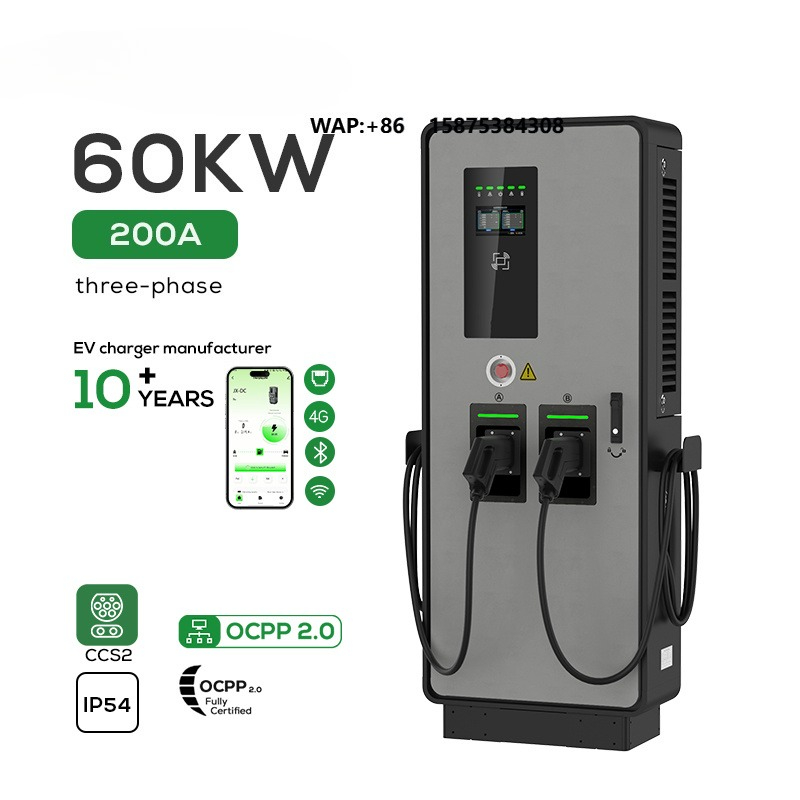 Colonnina di Ricarica Rapida D - Ev Charging Station 60Kw Dc Fast recensione e prezzo