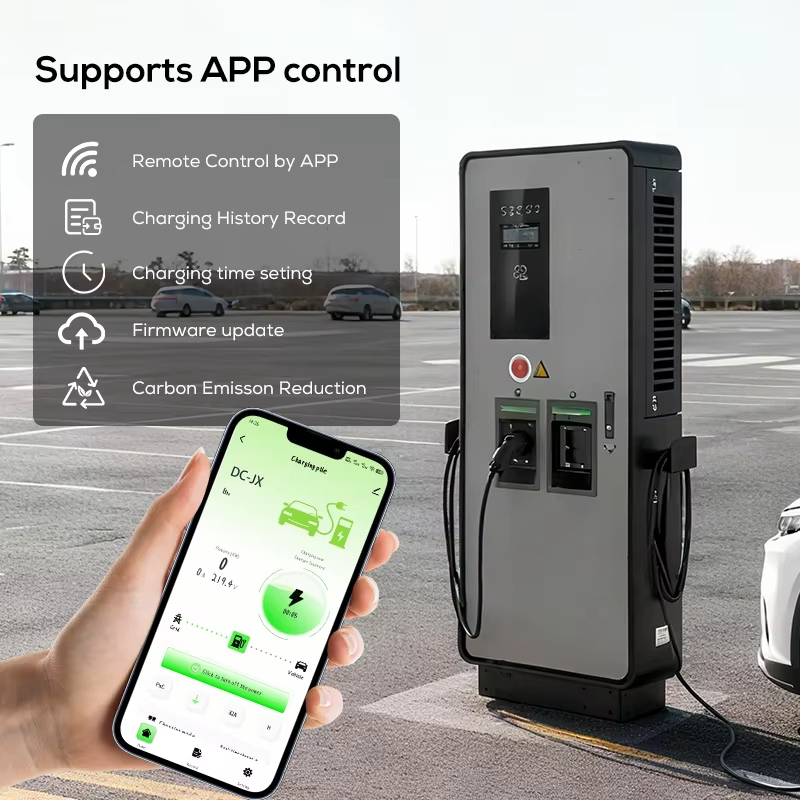 Colonnina di Ricarica Rapida D - Ev Charging Station 60Kw Dc Fast recensione e prezzo