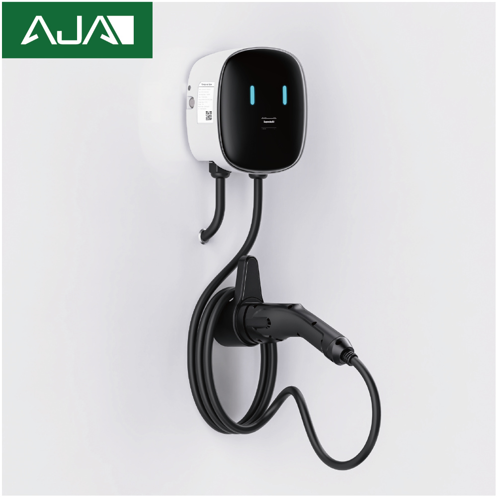 Caricatore Portatile per Veico - Ev Charger 22Kw Wallbox Type 2 recensione e prezzo