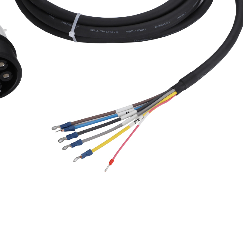 Spina caricabatterie EV con ca - Ev Charging Cable 5M 22Kw recensione e prezzo