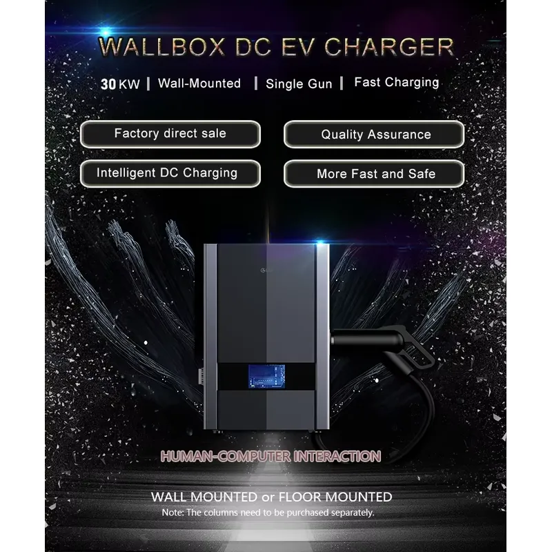 Modulo caricatore rapido DC da - Dc Fast Charger Module 30Kw recensione e prezzo